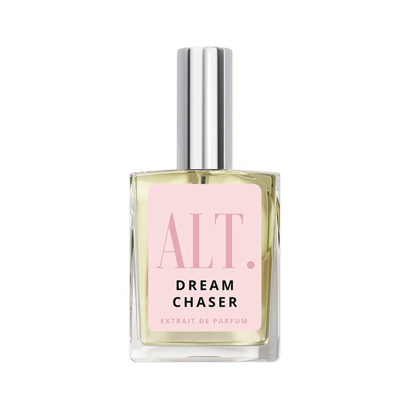Dream Chaser