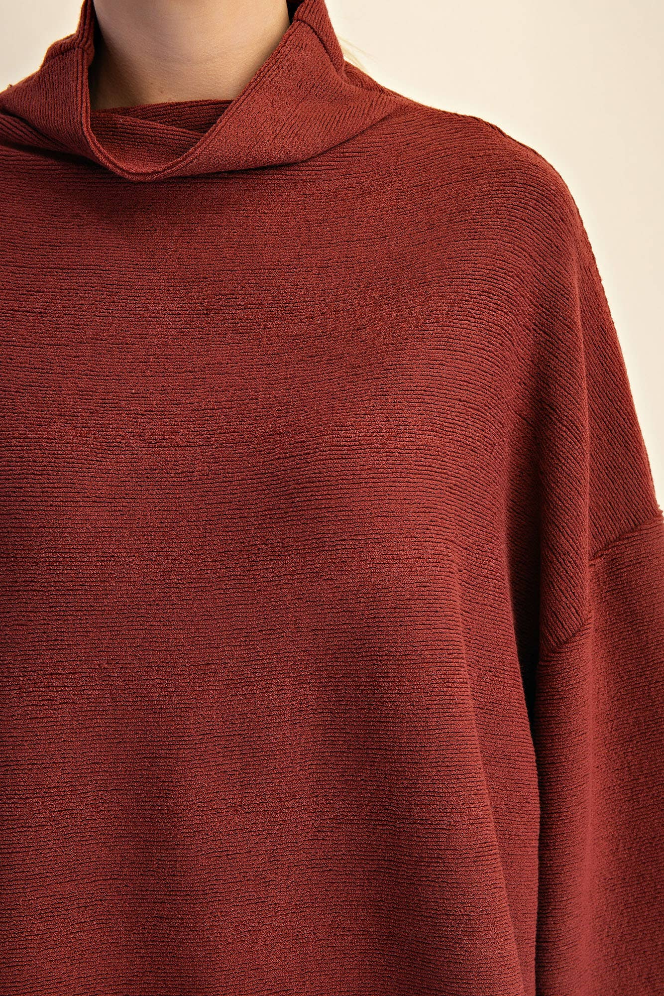 Mock Neck Balloon Sleeve Knit Top