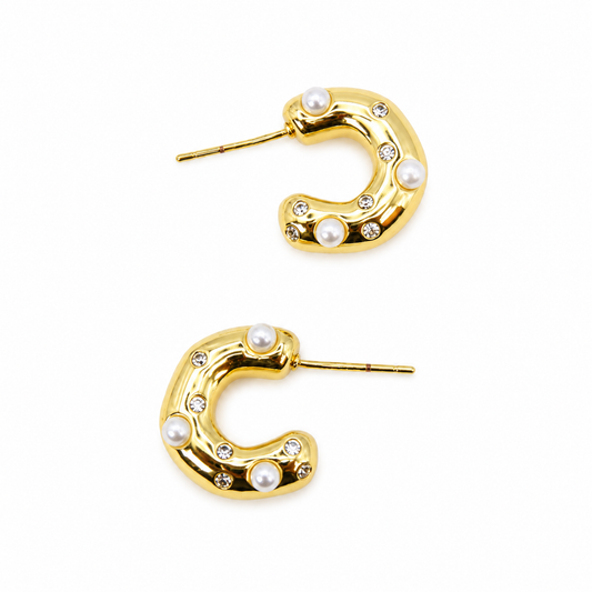 Gleaming Earrings